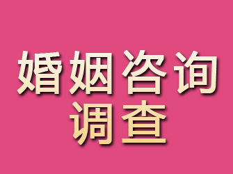 陵川婚姻咨询调查